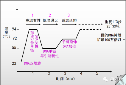 星醫百普通pcr技術和數字pcr技術什麼區別