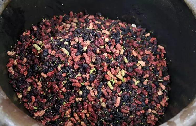 最近有几位忠实粉私信问我:不是以前看你动态发了杏醋,枣醋,槐花醋