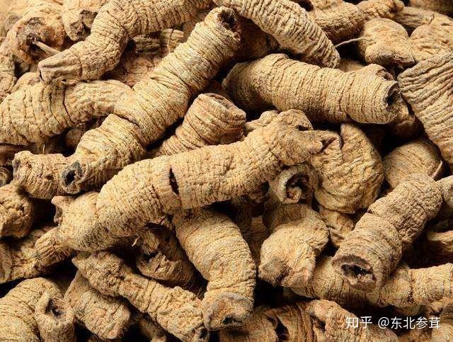 散风袪寒湿,不燥,不滞,同时可以抗疲劳,增免疫.主要是泡酒,炖汤.