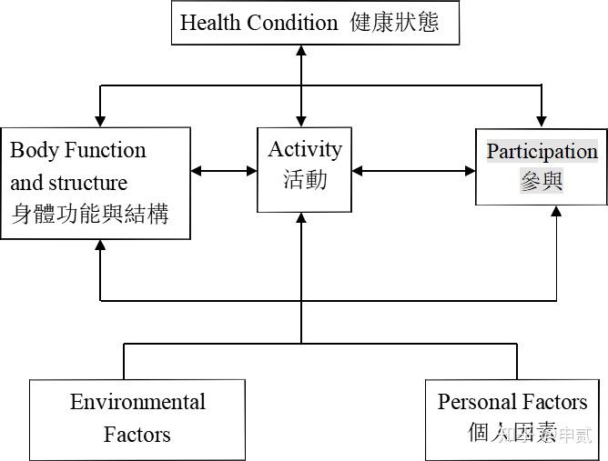 在 who 的 icf「国际功能失能与健康分类系统」中