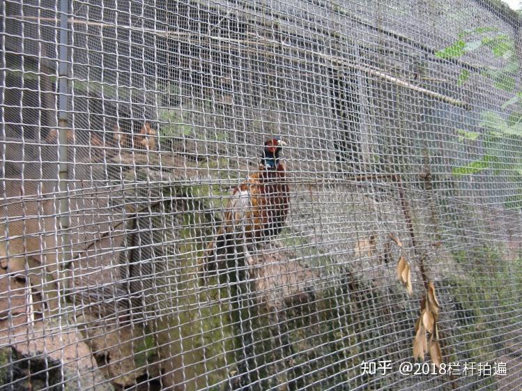 电视剧《西游记》外景地:安县-罗浮山 (中)