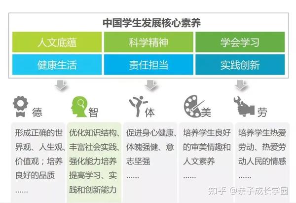培养全面发展的素质人才,我们一直在路上! - 知乎