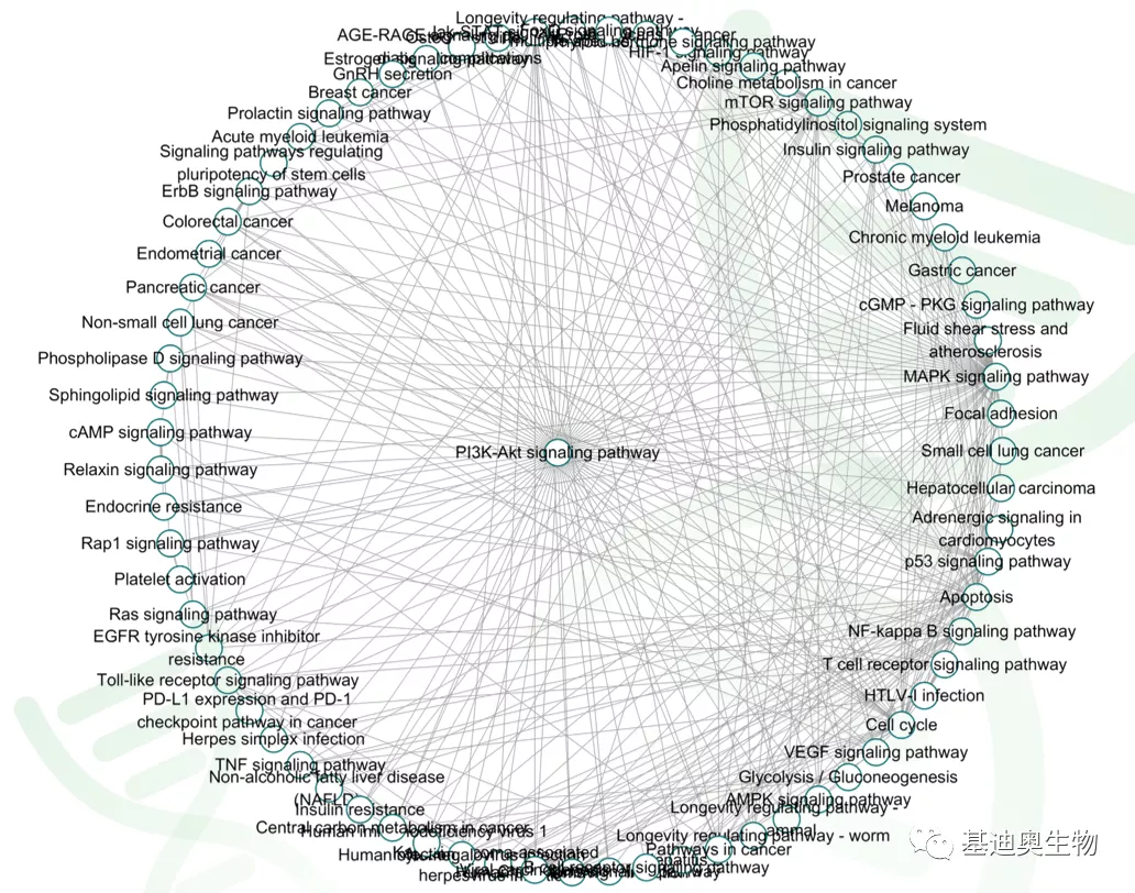 PI3K-AKT通路专题解析（上） - 知乎
