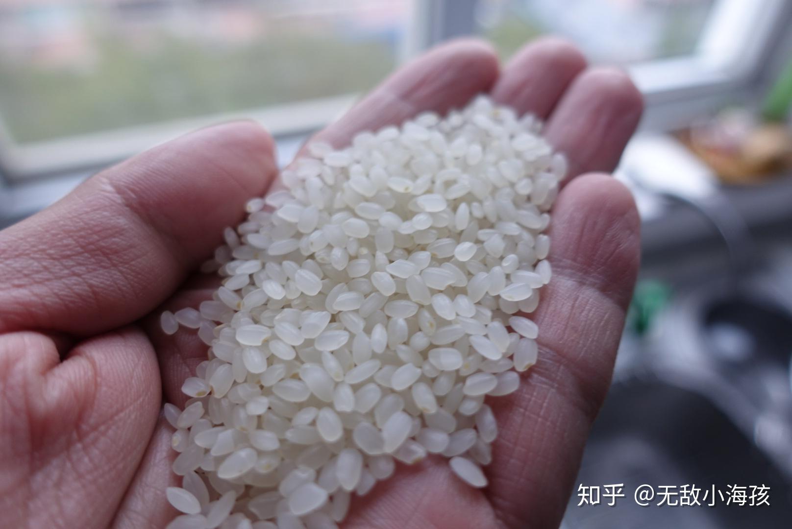 怎样买到好吃的米 v2-20928a955fb0cc6f9bff573494cae92e_r.jpg