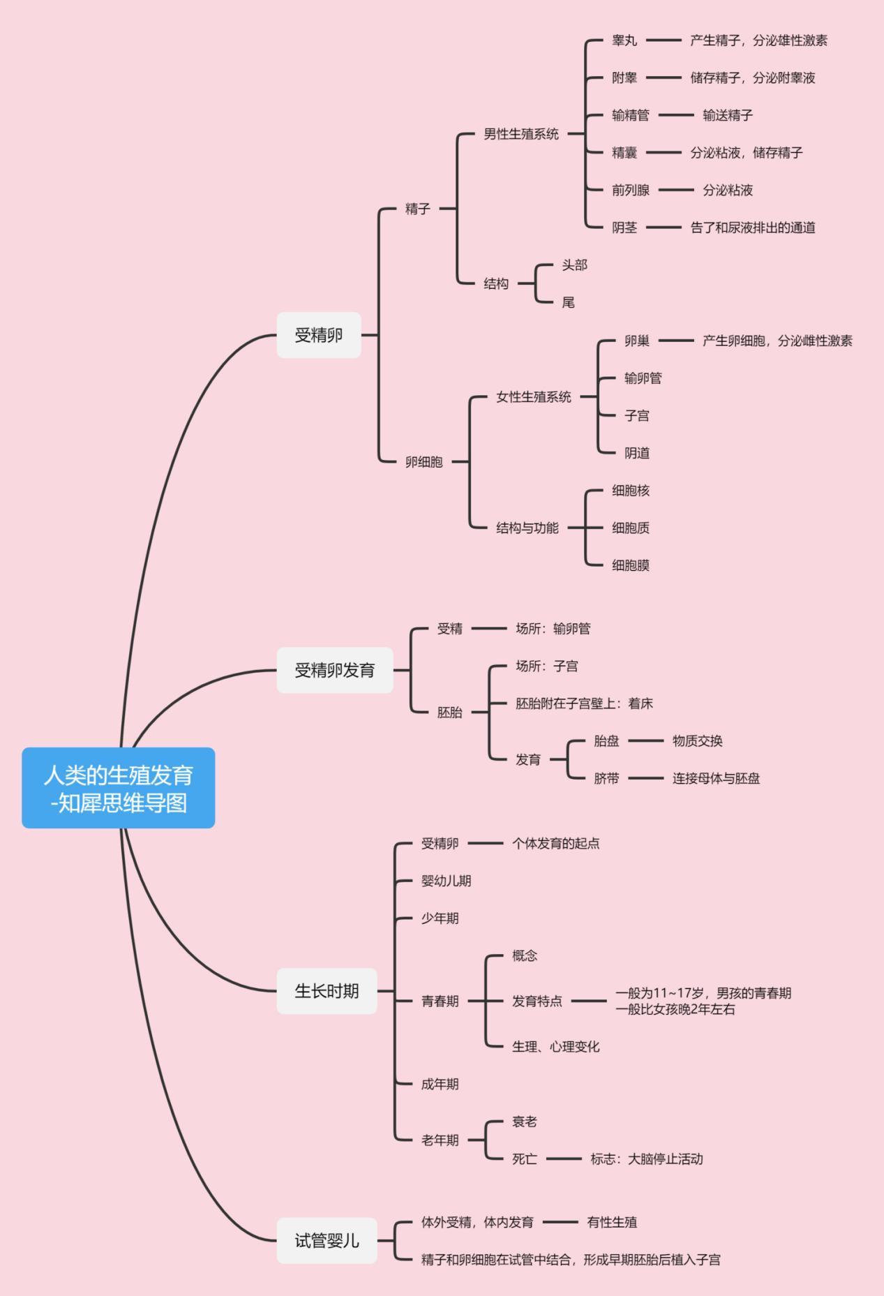 初中生物思維導圖合集37張清晰思維導圖免費分享