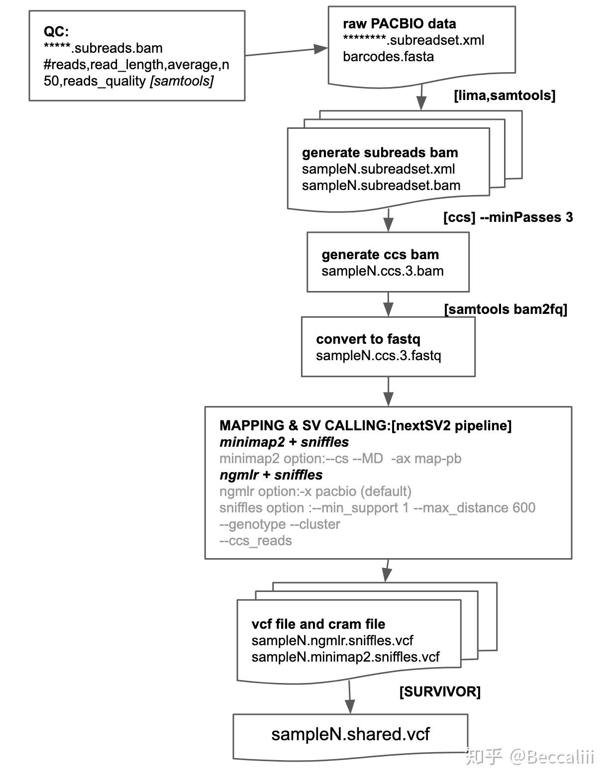 Pacbio 长序列 结构变异检测 germline SV calling - 知乎