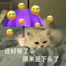 黎明