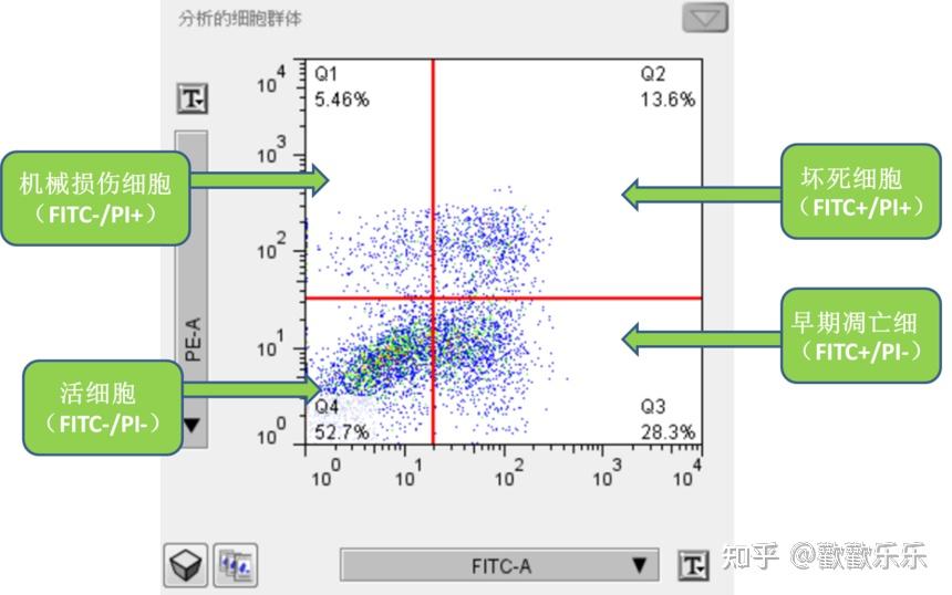 原创实验笔记：小谈流式细胞术检测细胞凋亡 - 知乎