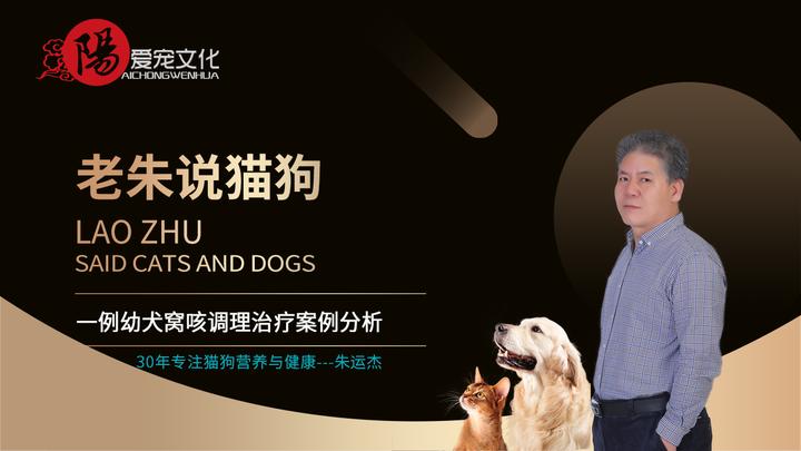 一例幼犬 窝咳 治疗调养案例分享 知乎