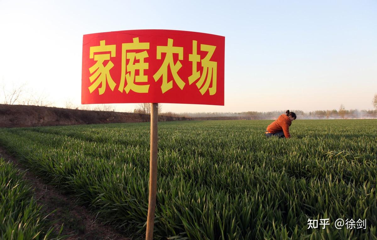 农村合作社图片大全集图片