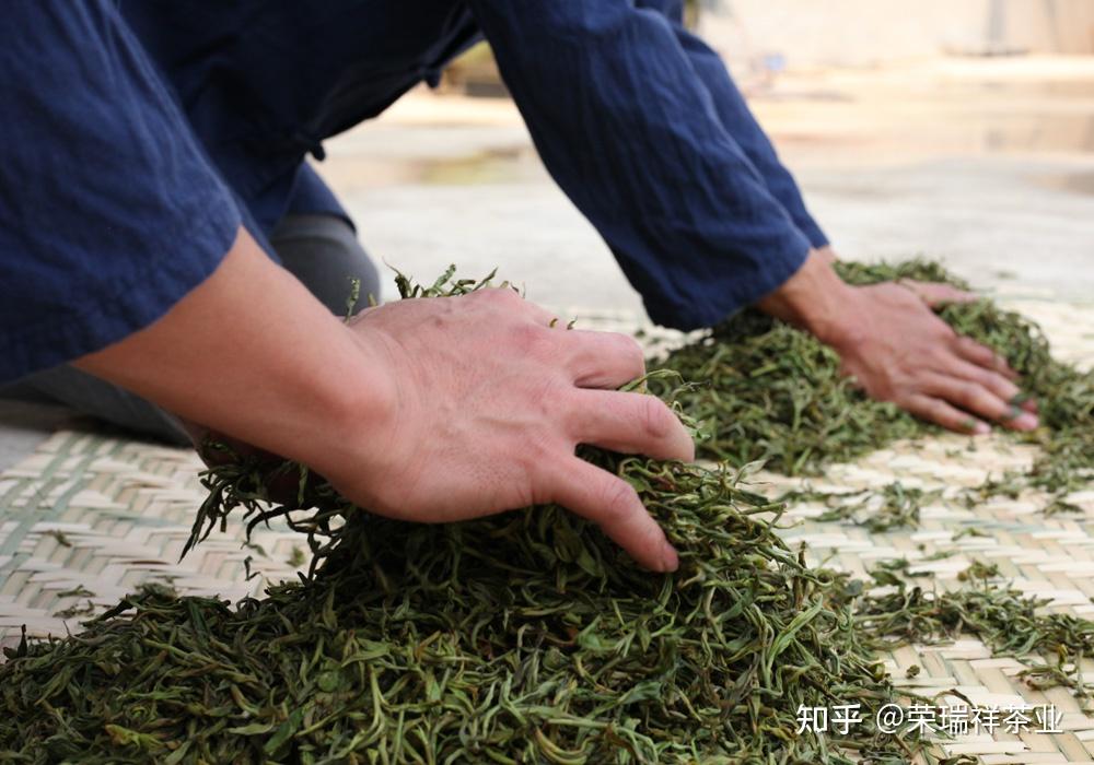 什么是揉捻?影响揉捻的因素有哪些?揉捻时有哪些具体要求? - 知乎