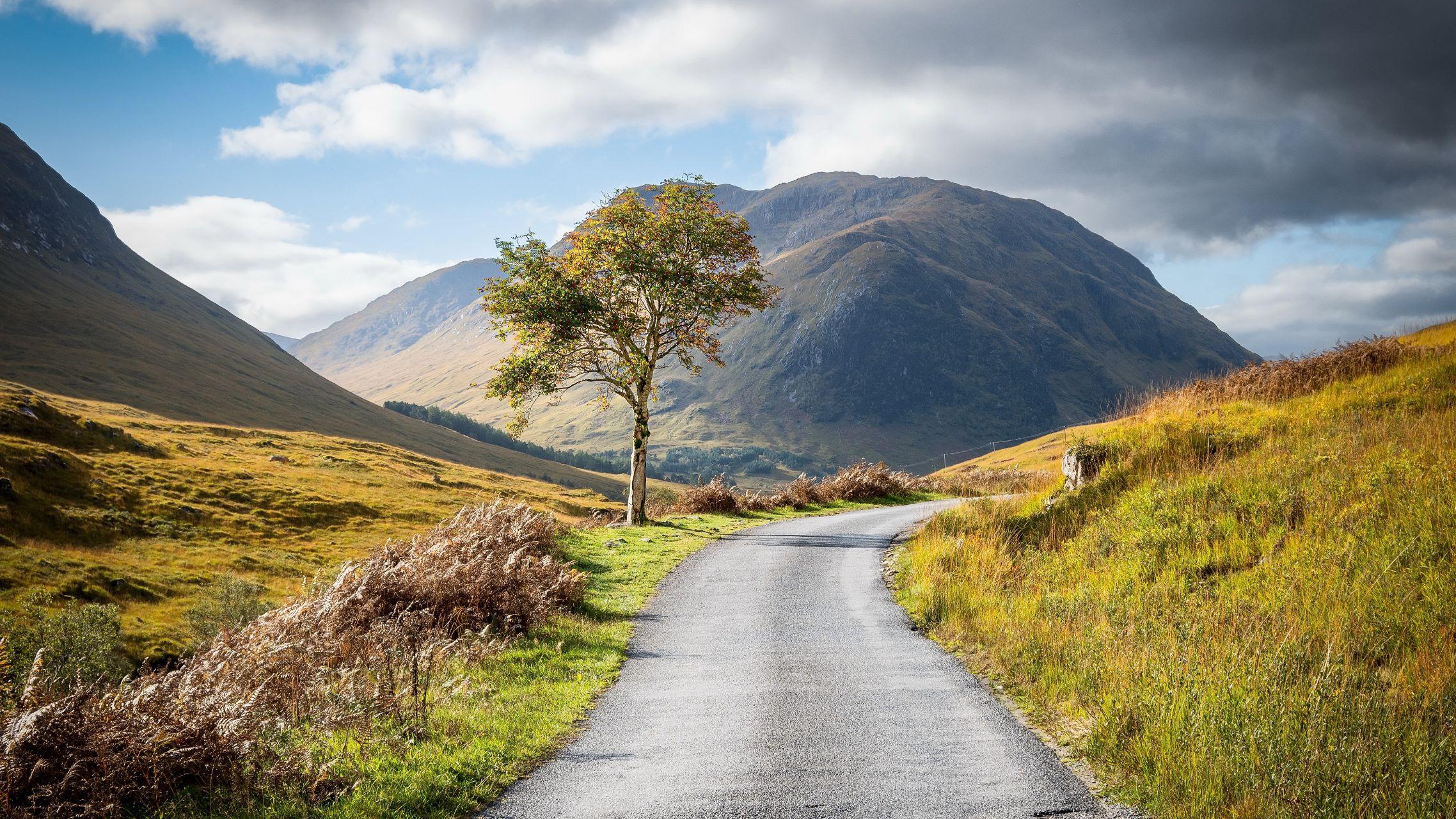 4k,8k 超高清壁纸! - 知乎