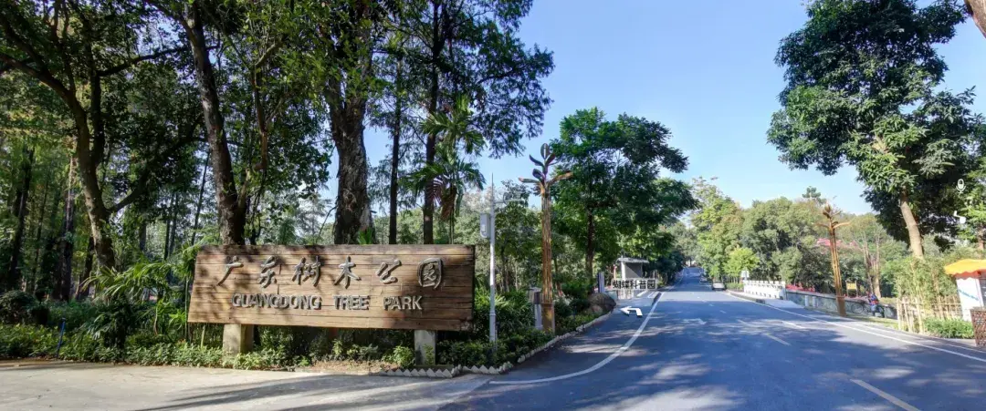 【广州科普游自由行科普单位介绍12】广东树木公园