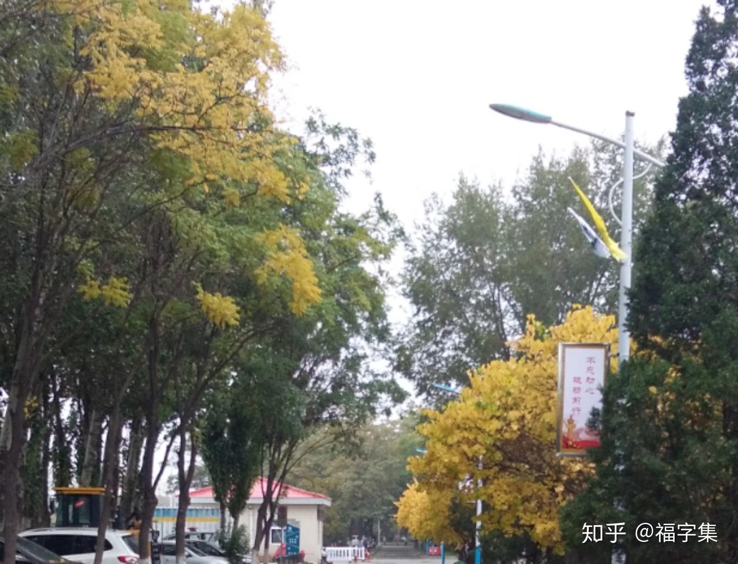 秋凉 - 知乎