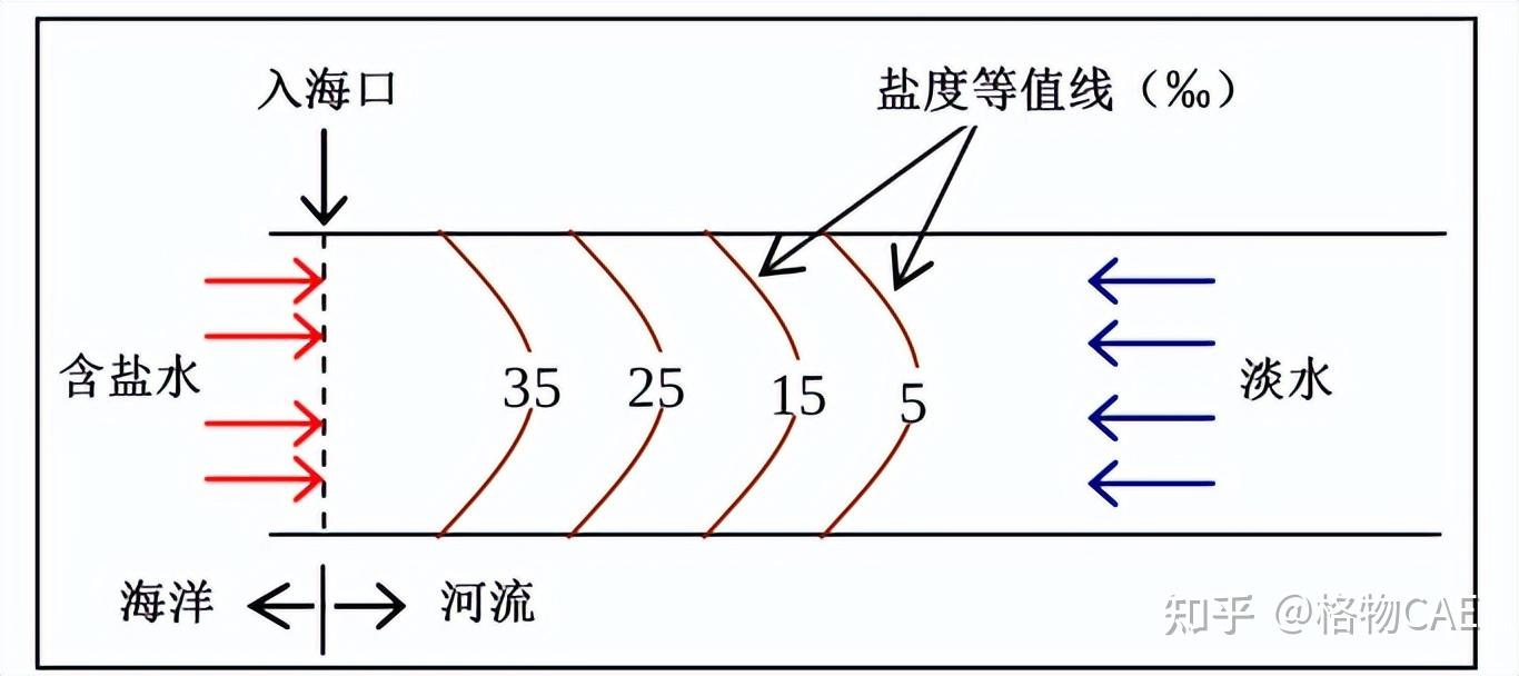 【CAE案例】基于二维水动力模型的密度驱动流模拟 - 知乎