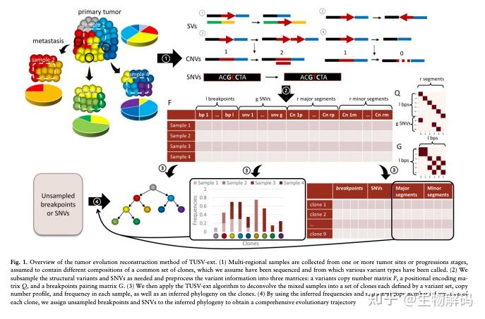 每日文摘 | 2022年07月27日 - 知乎