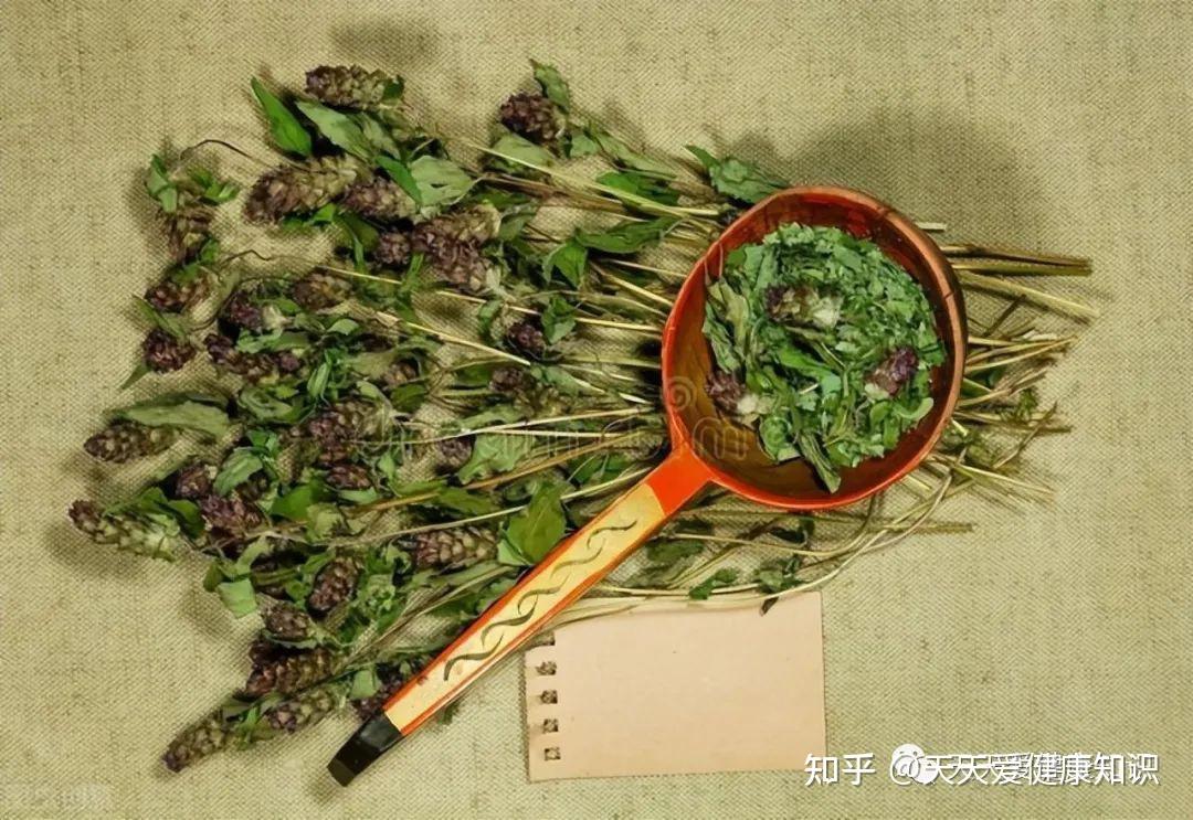 遍地都是的野草，却是治疗多种疾病的好中药？广东凉茶常见到它 - 知乎