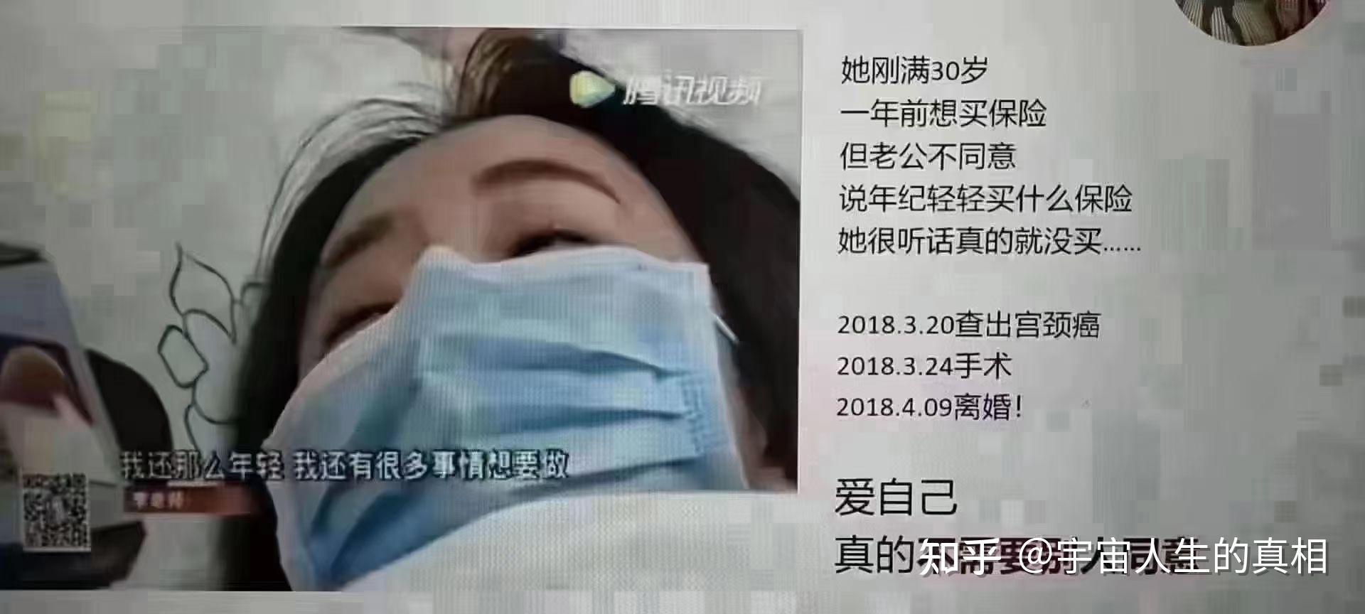 两全齐美指什么生肖动物