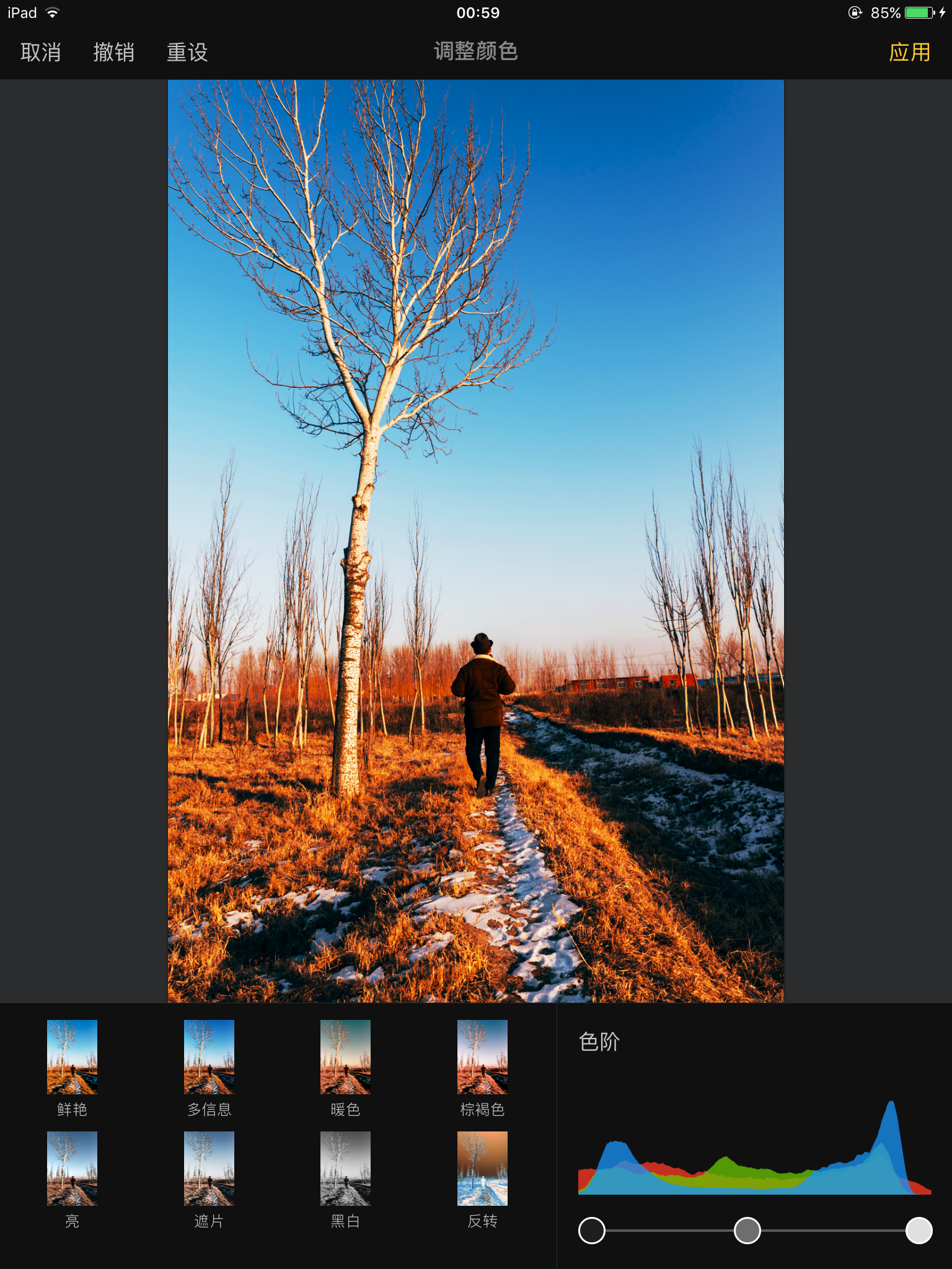【荐书】一个ios平台的ps级别修图软件pixelmator