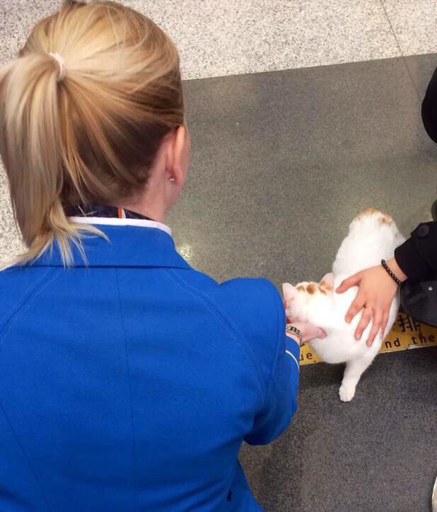 作为航空乘务员,在飞机上遇到过哪些有趣的事