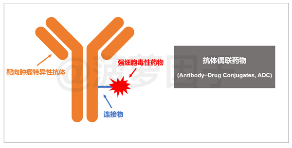 重磅tdm1获批中国首个adc类靶向抗癌药来了