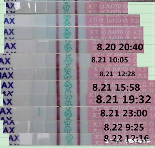 女性科学备孕儿子 排卵痛就表示正在排卵吗 知乎