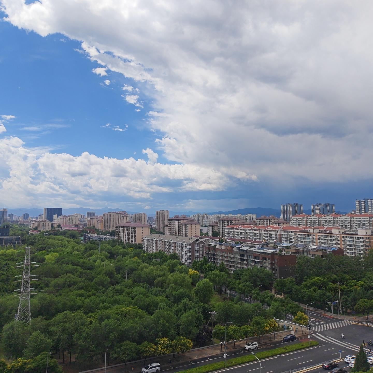 zhang丶wd
