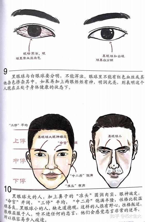 东山相法(东山面相)——第二十一篇:五官 监察官(眼睛) - 知乎