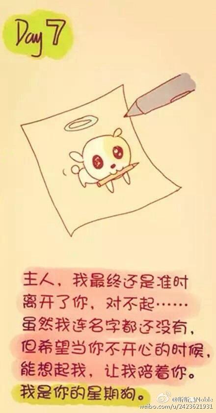 你看我现在在天上不是很好吗~再见啦~▼第七天:还好,你的世界我曾来过