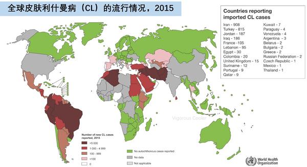 叙利亚的"食肉虫"国内也有—利什曼病速览