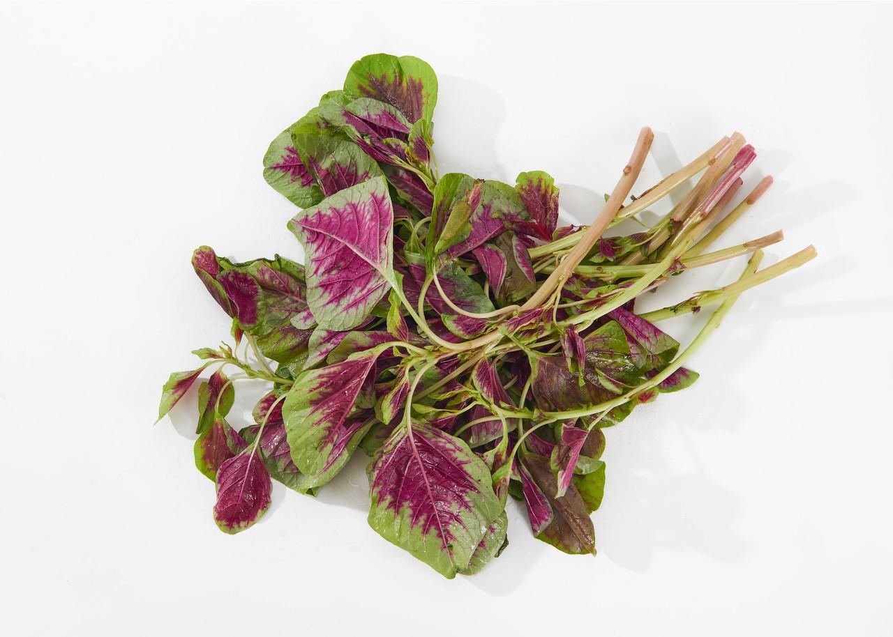 补钙别总想着蛋奶禽这些高钙菜了解一下