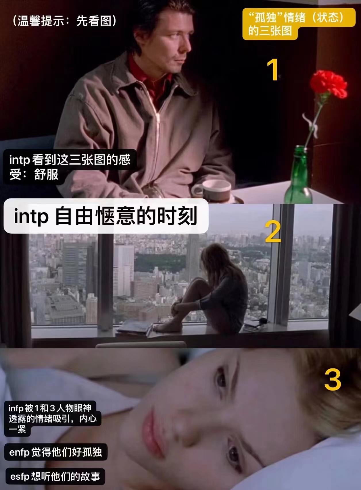 【MBTI表情包】INTP表情包 | 逻辑学家人格表情包 | INTP梗图 - 知乎