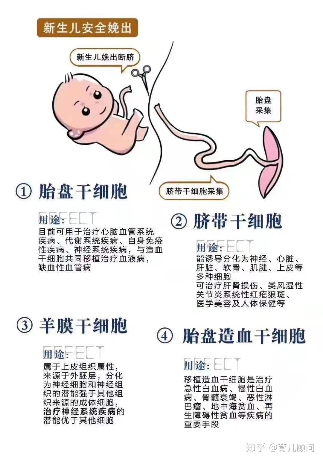 脐带血有没有必要保存