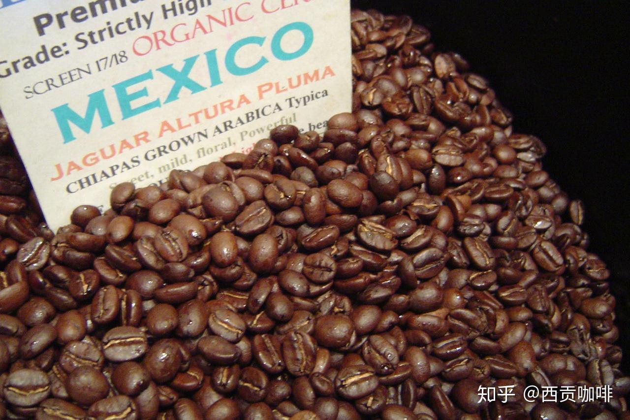 墨西哥咖啡的做法喝法具体介绍 中国咖啡网 05月16日更新