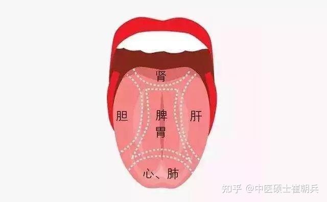史上最全高清舌诊图谱，堪比教科书（收藏篇） - 知乎