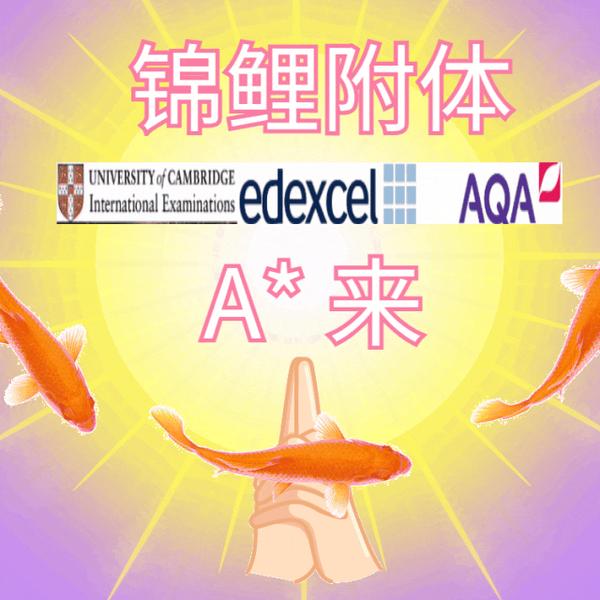 动图封面
