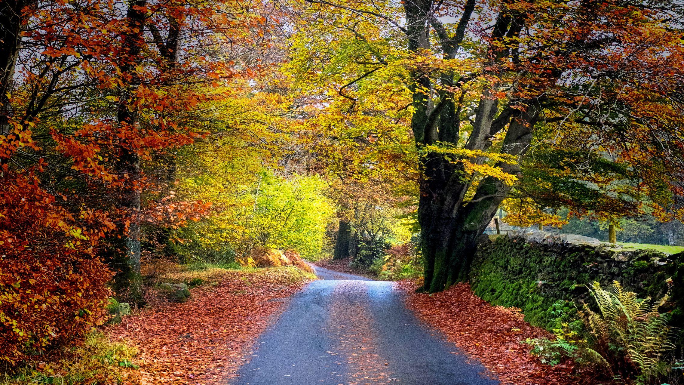 有没有那种暖色系街头风壁纸