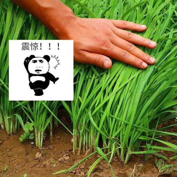 如何看待97年女收纳师叠衣服月入50w这波是成功的降维打击吗