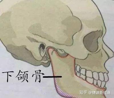比发福更可怕,刘亦菲也没能幸免,因“发腮”上热搜,如何预防发腮? - 知乎