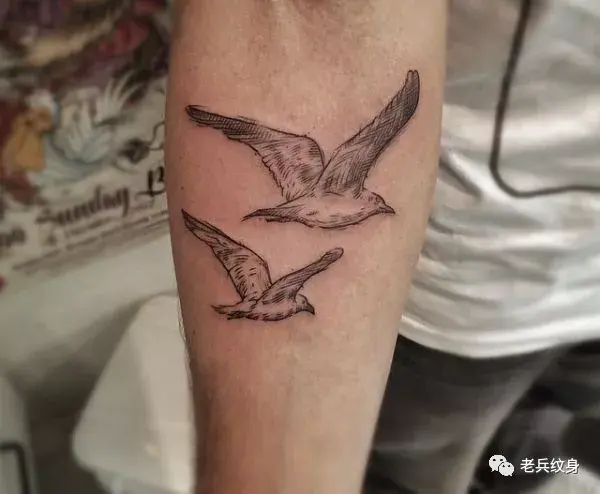 纹身素材海鸥纹身图案