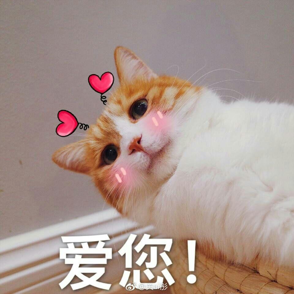 大一想退学回去复读可行吗?