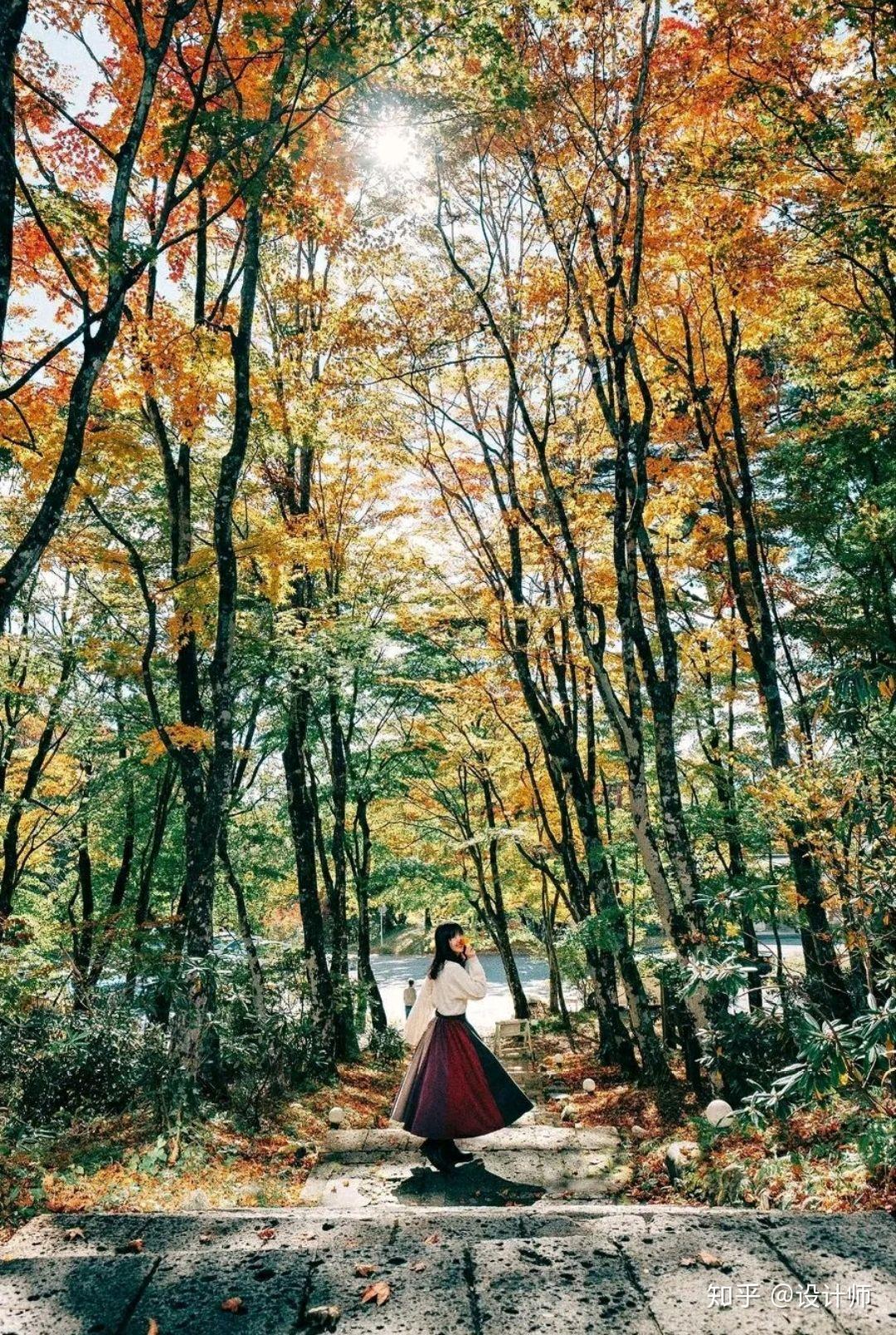 秋天拍照这些拍照技巧可以学拍出令人陶醉的秋天美照