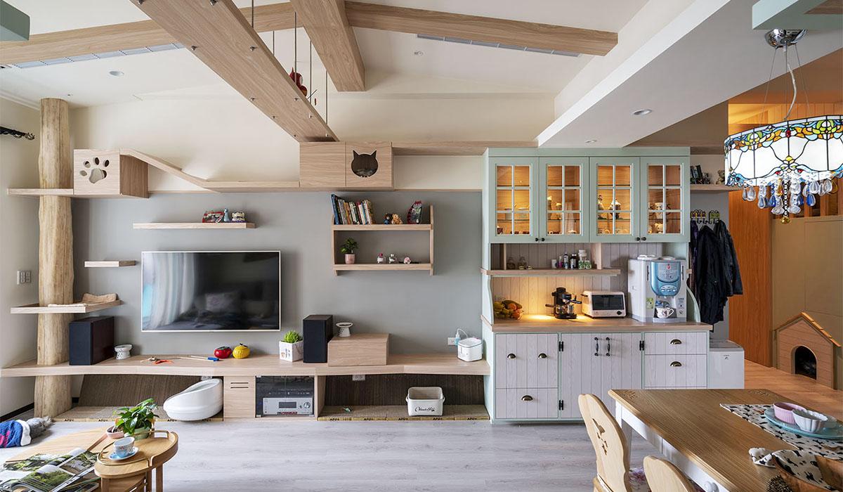 80㎡猫宅化住家，5人7猫1犬共居乐活- 知乎