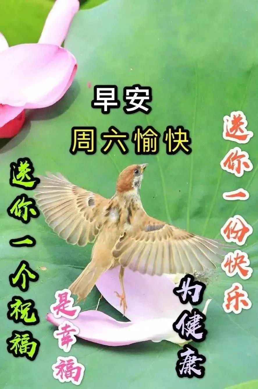 超好看的早上好动态表情图片精选分享早上好暖心问候语祝福语短信句子