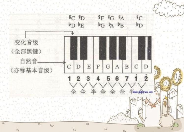 基本乐理—1⃣️ - 知乎