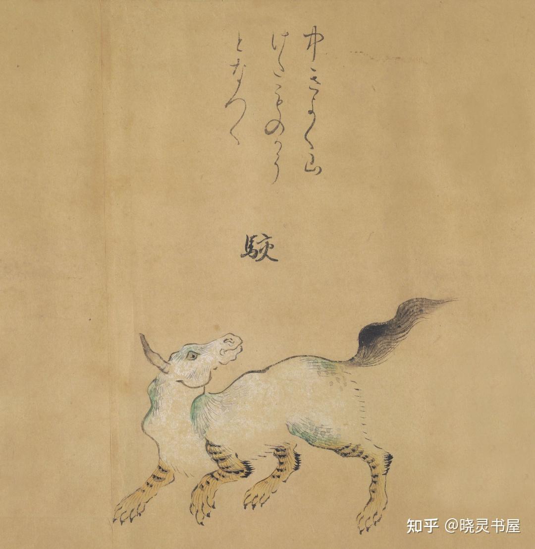 奇幻动物王国 《怪奇鸟兽图》卷 - 知乎