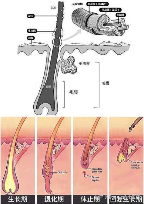 高性價比脫毛指南家用脫毛儀真香省時高效還無痛效果不輸美容院