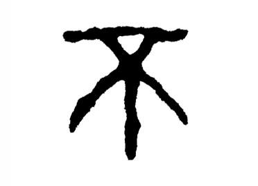 不:汉字的起源与演变(小学一年级语文生字 第39集) - 知乎