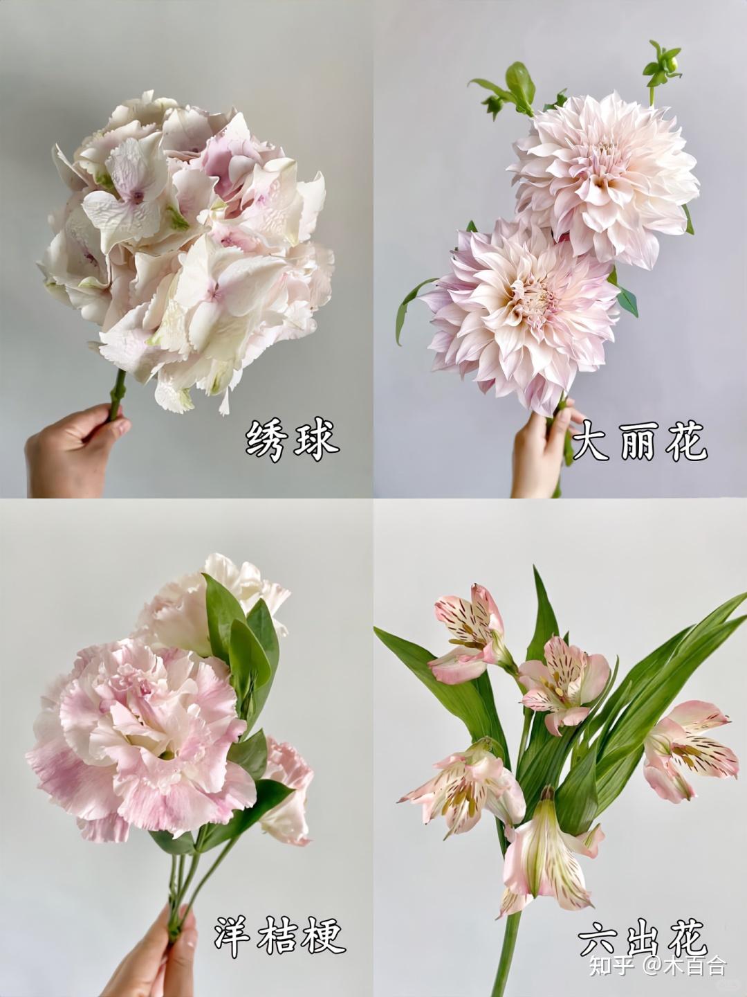 精选36种应季花材,帮你解决选花困难症! - 知乎