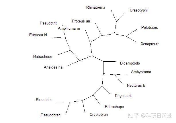 当你构建完系统进化树，可以用这两个小工具把颜值up一下 ！ - 知乎